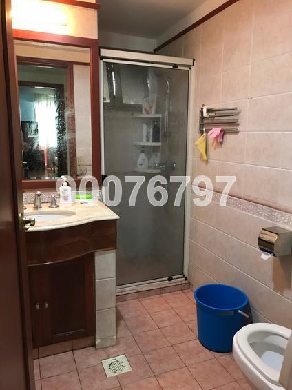 Parc Vista (D22), Condominium #143788522